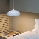 Metal Ceiling Pendant Shade 