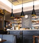 Modern Black Metal Ceiling Pendant Light M0205 