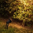4 Pack Outdoor Garden Spike Lights
