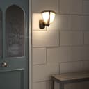 Dusk Till Dawn Sensor Outdoor Wall Light ZLC329DTD