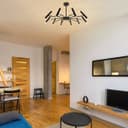 10 Lamp Ceiling Black Cluster Sputnik Pendant Light Adjustable Beam Angle K405 With G9