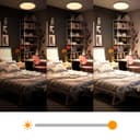 24W LED WiFi Ceiling Light with RGB App Control and Remote Smart Colour Changing WF03