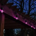 4w LED Golf Ball Purple Light Bulb E14 Clear Glass