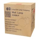 Modern Indoor Frosted Glass Globe Scone Matte Black Wall Light H3096 with LED G9 Warm White