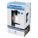Outdoor Wall Light Black Lantern Clear Diffuser ZLC378 with LED 4w Warm