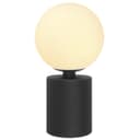 Retro Black Table Lamp Jade Frosted Globe Opaque Glass Shade T512
