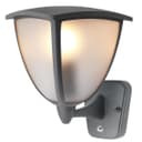 Dusk Till Dawn Sensor Outdoor Wall Light ZLC329DTD