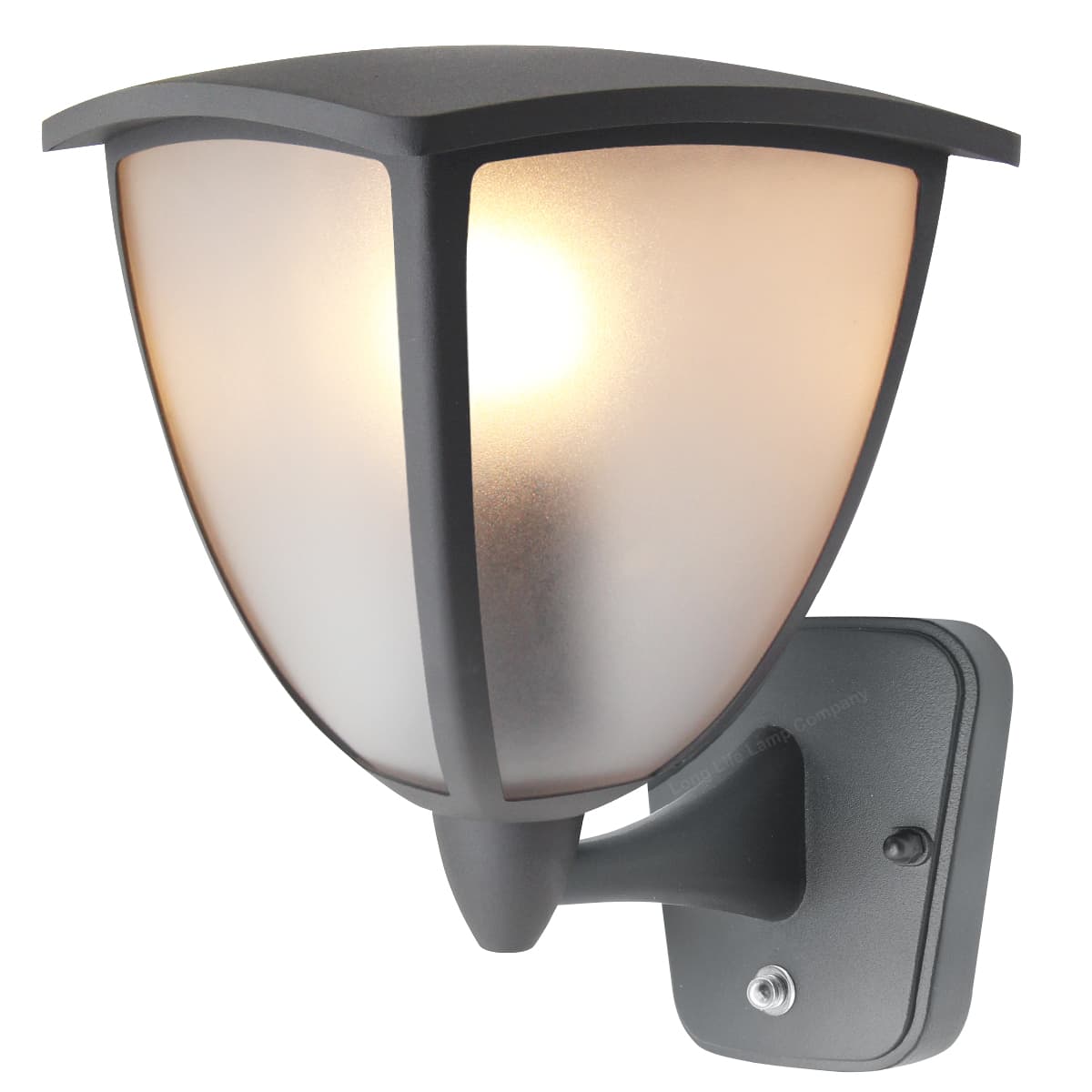Dusk Till Dawn Sensor Outdoor Wall Light ZLC329DTD