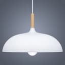 Metal Ceiling Pendant Shade 