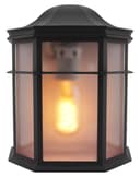 Vintage Black Outdoor Wall Light Frosted Glass Lantern ZLC080