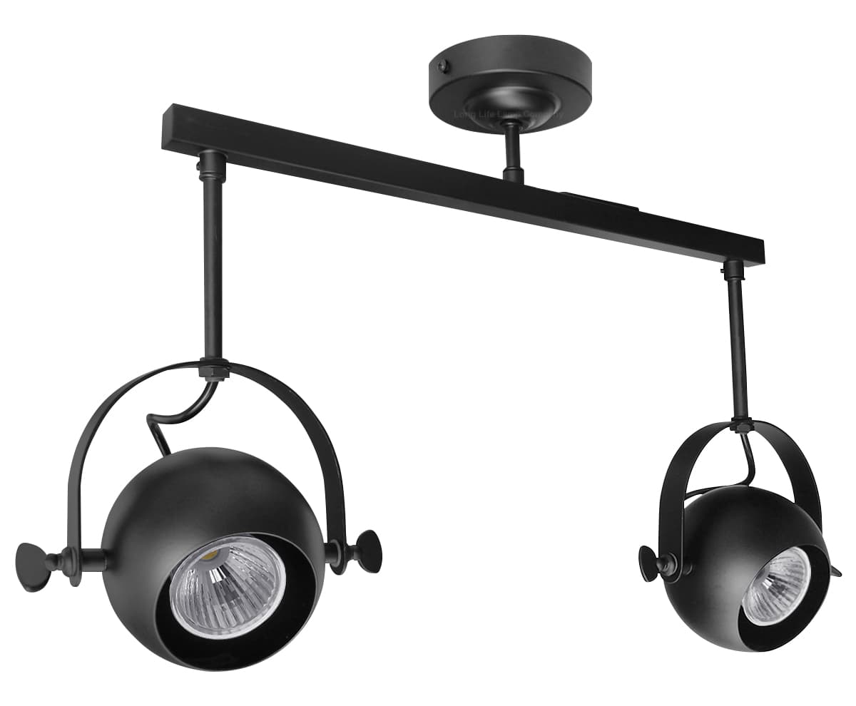 Black Adjustable Retro Industrial Ceiling Spot Light Double Eyeball 