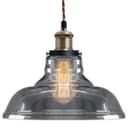 Modern Vintage Shadow Glass Light Shade Smoked Ceiling Lamp 