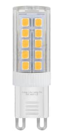 10 PACK 5w G9 LED Bulb Warm White Equivalent 40w Replacement for Halogen Capsule 