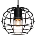 Wire Cage Globe Black Metal Pendant Light M0173