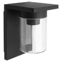 Outdoor Wall Light Lantern Black Clear Lamp Shade ZLC385 with 4w LED Warm White
