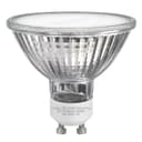 LED 63mm GU10 Warm White 7w Frosted Cover 240v