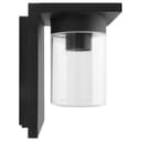 Outdoor Wall Light Lantern Black Clear Lamp Shade ZLC385 with 4w LED Warm White