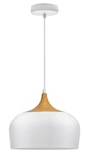 Nordic Modern Gloss White Ceiling Pendant Light Metal Lamp Shade Wood Effect Detail H3048