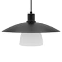 Modern Ceiling Pendant Light Black Frosted Glass H3114 
