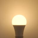 10w A60 GLS LED Light Bulbs E27 Edison Screw Warm White