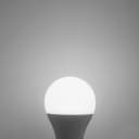 10w 3 Pin Light Bulb LED Cool White 6500k BC3