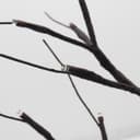 LED Indoor Christmas Brown Tree Miniature 60cm Mains And Battery Operated TREE01