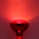 50w Reptile And Poultry Infrared Heat Lamp Bulb E27 Edison Screw