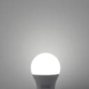 15w GLS LED Light Bulb B22 Bayonet Cool White A60 