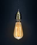 60w Squirrel Cage Vintage Edison B22 Bayonet Bulb ST58