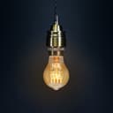40w GLS Quad Loop Filament Vintage Cage Edison Screw E27 Screw Bulb