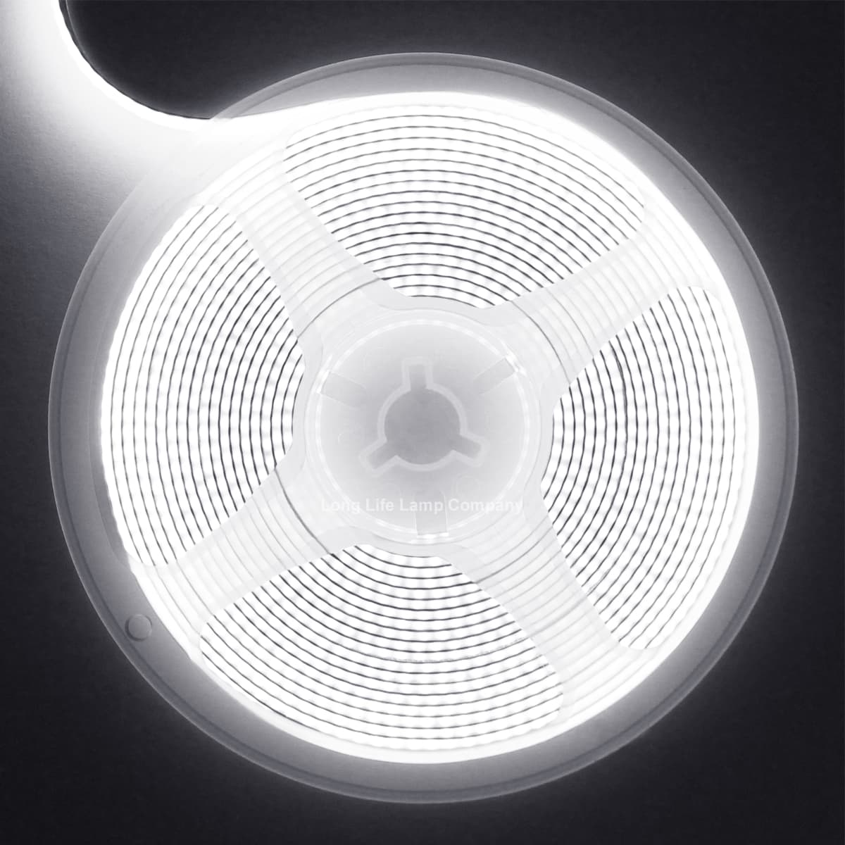 Cool White LED Tape Strip Light Continuous COB Illumination 5 Metres 12V