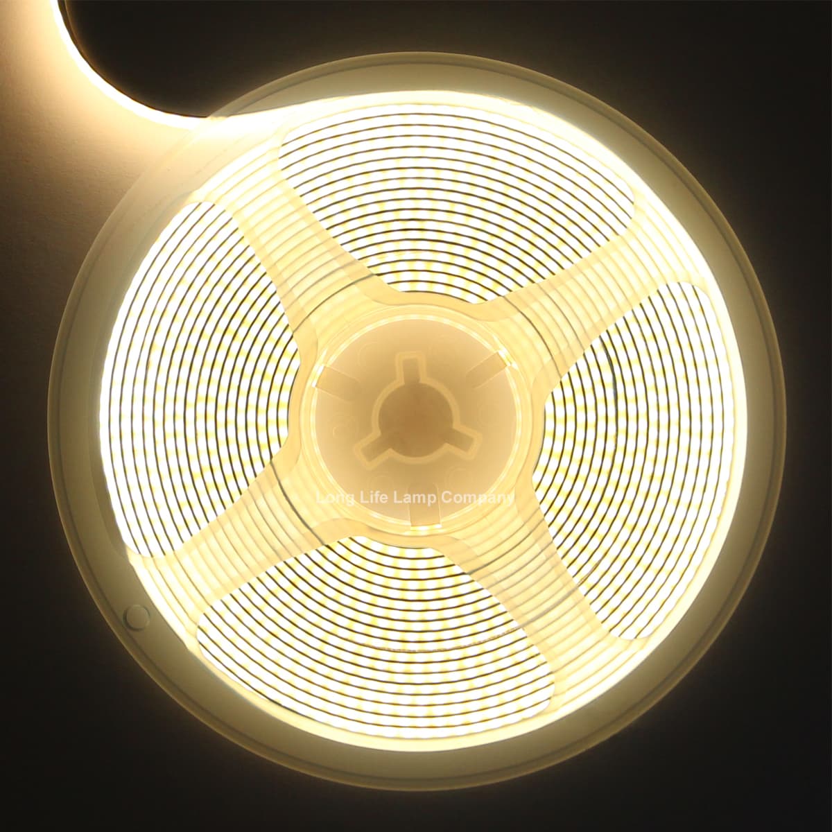 Warm White LED Tape Strip Light Continuous COB Illumination 5 Metres 12V