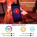 36w Round LED Ceiling Light Dimmable RGB Smart WiFi Mood Lamp App and Remote Control WF02