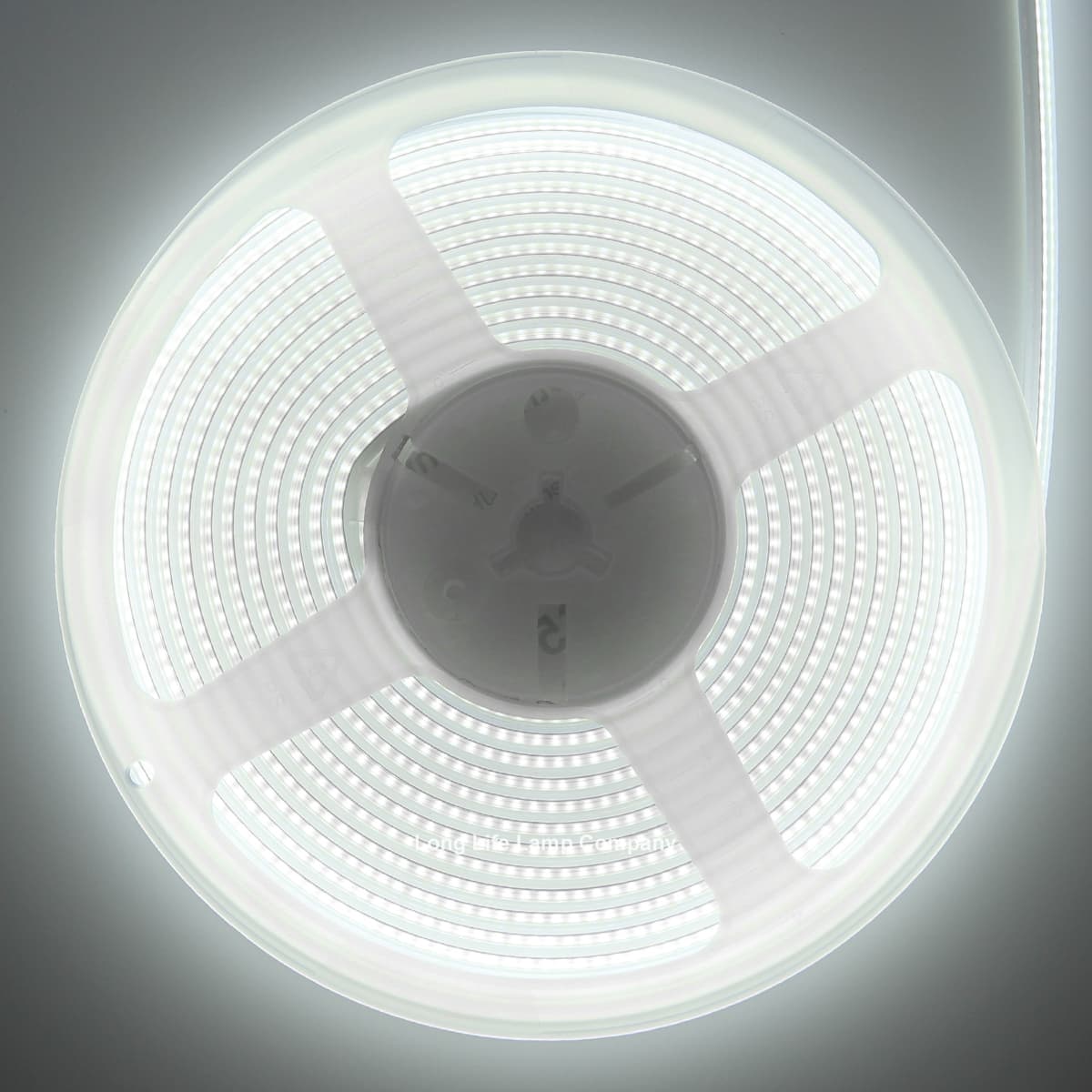 IP65 Water Proof Outdoor & Indoor LED Strip Light Tape Cool White Continuous COB Illumination 5 Metres 12v 
