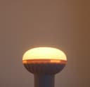 6w R50 LED Reflector Light Bulb Energy Saving Replacement For Halogen