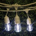 Pack of 2 LED Filament Light Bulb 1w E27 Edison Screw Cool White Decorative Festoon Lamp