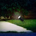 Garden Outdoor Spike Light Stainless Steel Matt Black Finish 240v ZLC307B