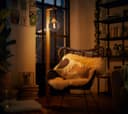4w Vintage LED G125 Bulb E27 Spiral Filament Smoke Grey
