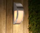 Stainless Steel IP44 Front Door Side Light ZLC032