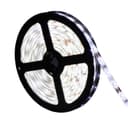 White LED Flexible 5M 24V 5050 IP65 Waterproof SMD Strip Light