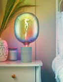 4w Flexible LED Rainbow Oval Glass Decorative Light Bulb Opal Metallic E27 RBOVAL