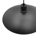 Modern Ceiling Pendant Light Black Frosted Glass H3114 