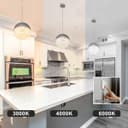 LED Ceiling Chrome Glass Globe Pendant Light CCT Natural Cool Warm White H3108