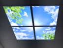 175W 4 Set Blue Sky LED Ceiling Recessed Panel 600 x 600 Sun Birds Cloud Sky Scene SKY03