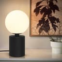 Retro Black Table Lamp Jade Frosted Globe Opaque Glass Shade T512