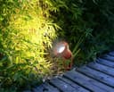 Outdoor Ground Spike Light Stainless Steel Copper Finish Adjustable Head ZLC085S