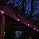 4w LED Golf Ball Purple Light Bulb B15 Clear Glass