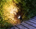 Outdoor Garden Spike Light  ZLC01BS 