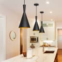 Modern Black Metal Ceiling Pendant Light M0205 