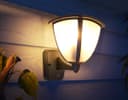 Dusk Till Dawn Sensor Outdoor Wall Light ZLC329DTD